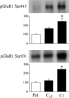 FIG. 9.