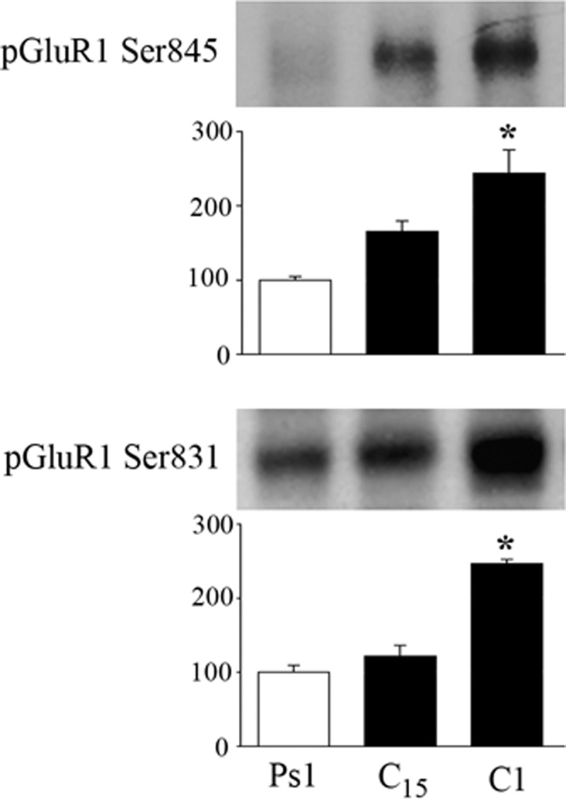 FIG. 9.