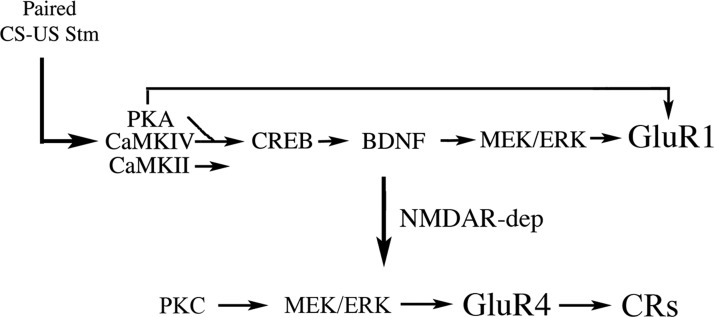 FIG. 10.