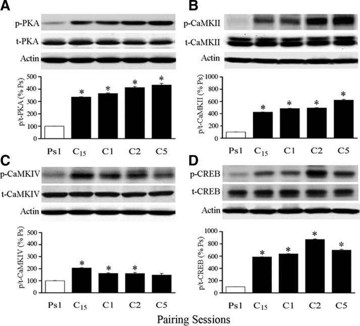 FIG. 4.