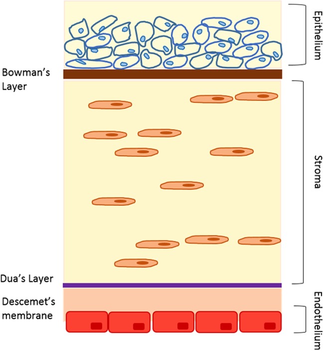 FIG. 2.