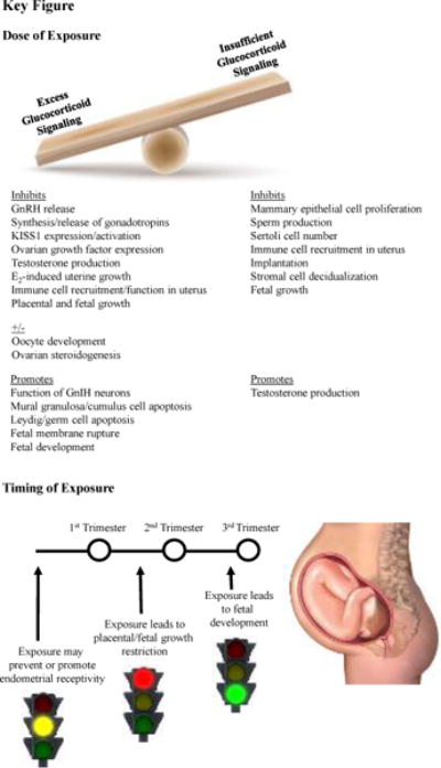 Figure 2, Key Figure