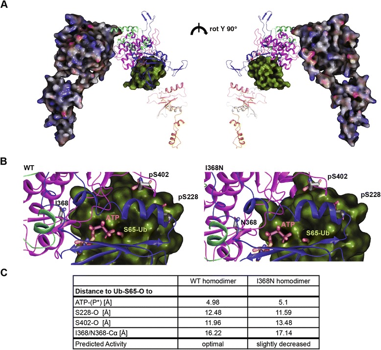 Fig. 2