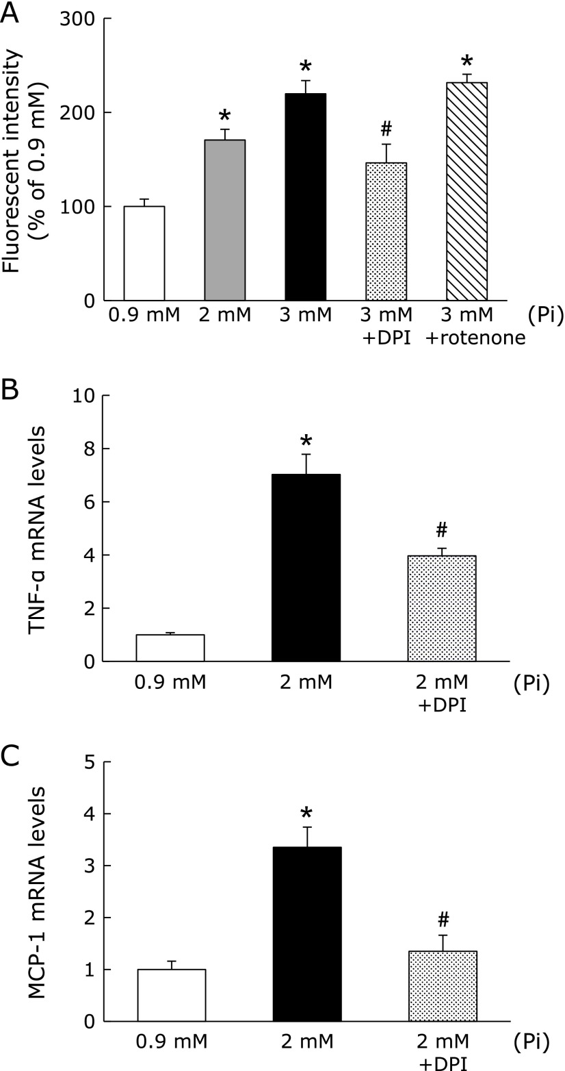 Fig. 7