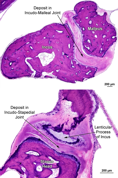 FIG. 5