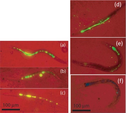 Figure 10.