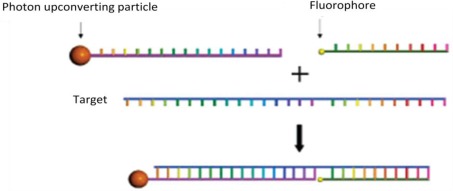 Figure 13.