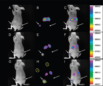 Figure 11.