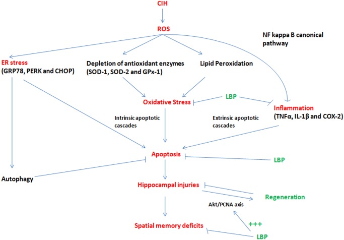 Fig 12