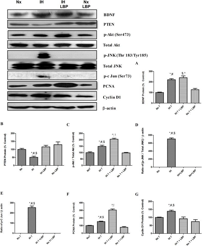 Fig 10