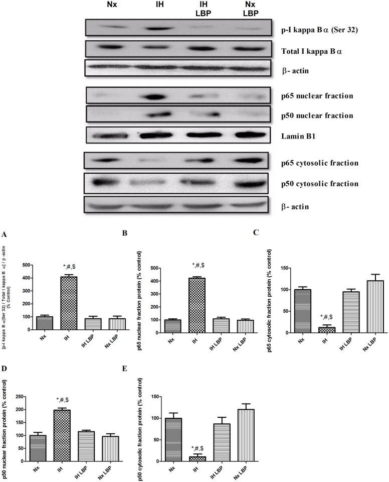 Fig 6