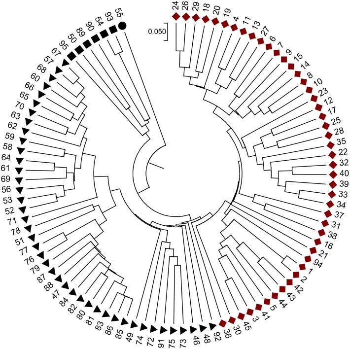 FIGURE 3