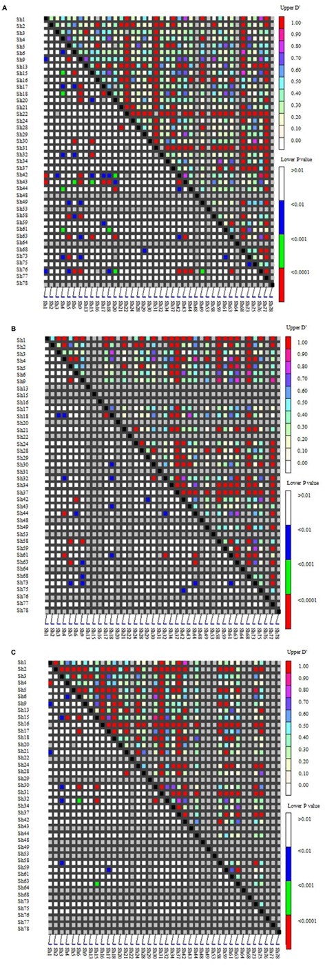 FIGURE 4