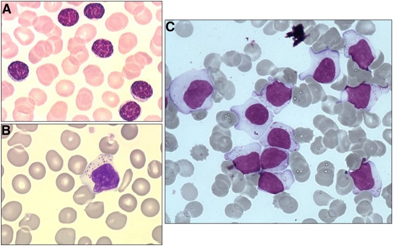 Figure 2.