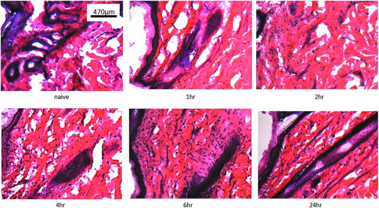 Figure 3.