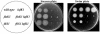FIG. 4.