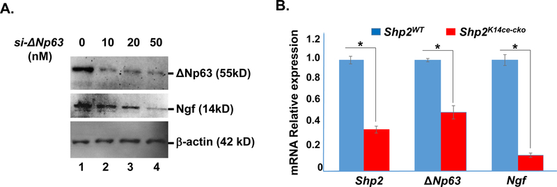 Fig.8.