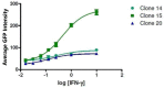 FIGURE 2