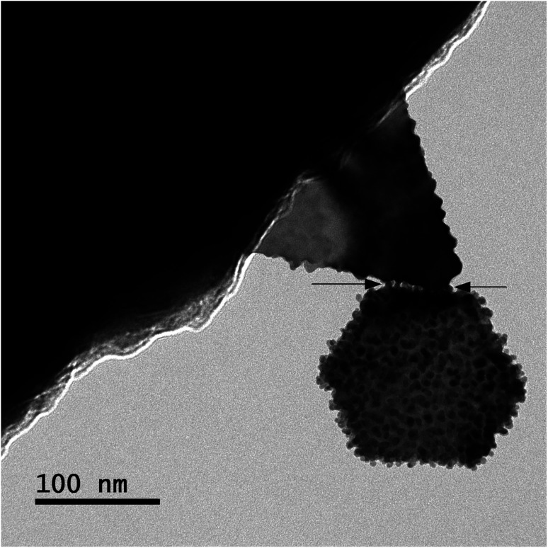 Fig. 6