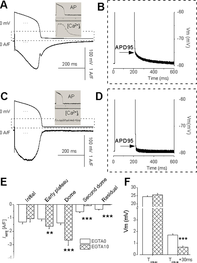 Fig.6