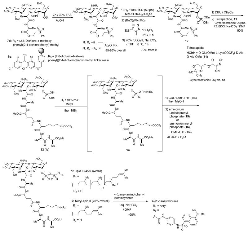 Scheme 2