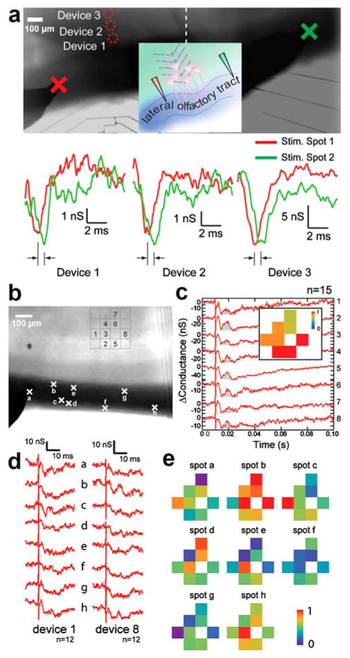 Figure 24