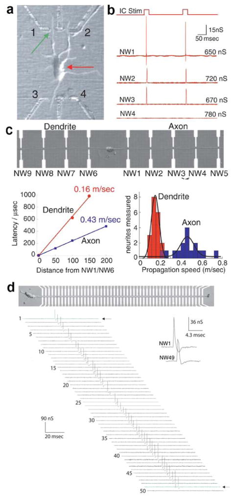 Figure 17