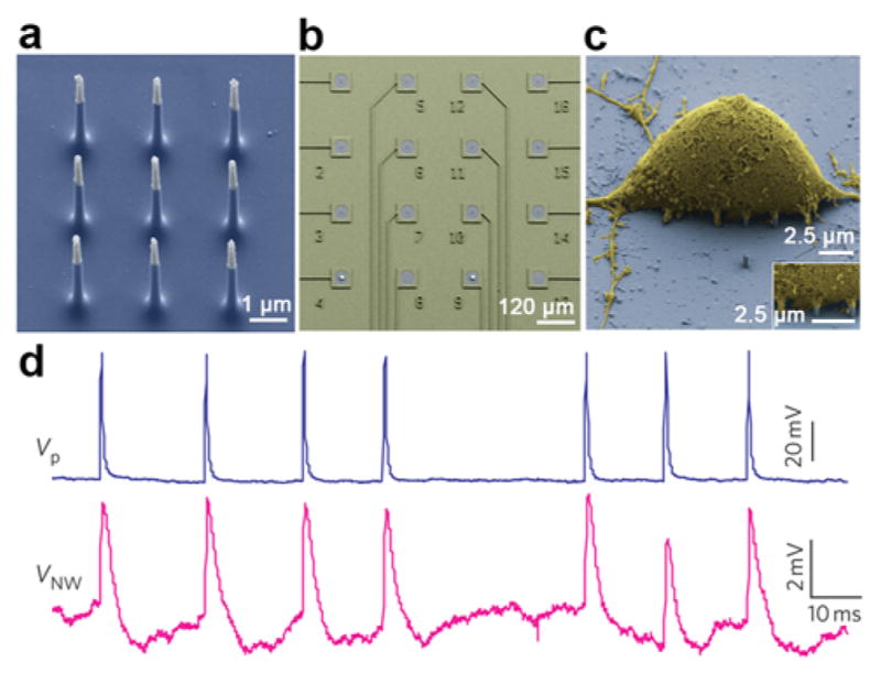 Figure 23