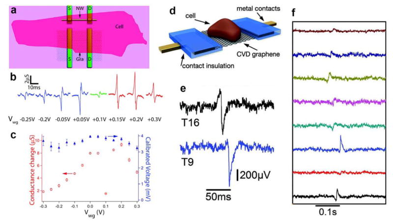 Figure 20