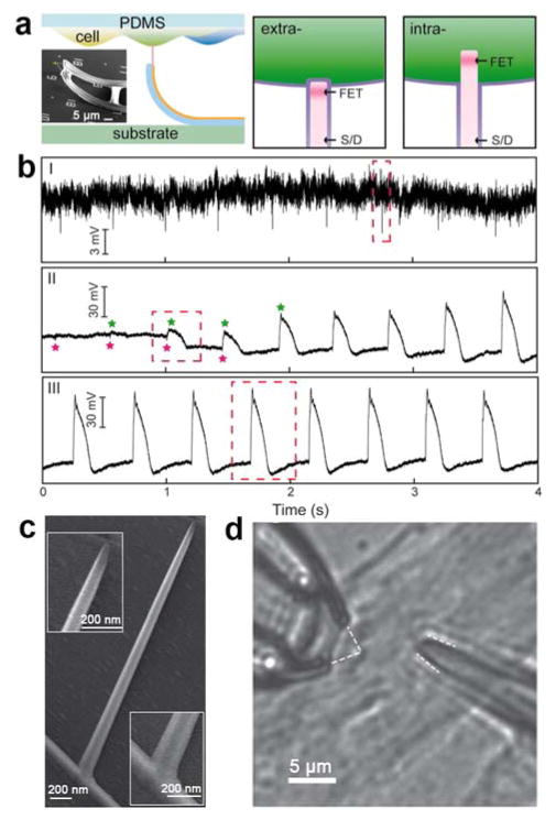 Figure 22