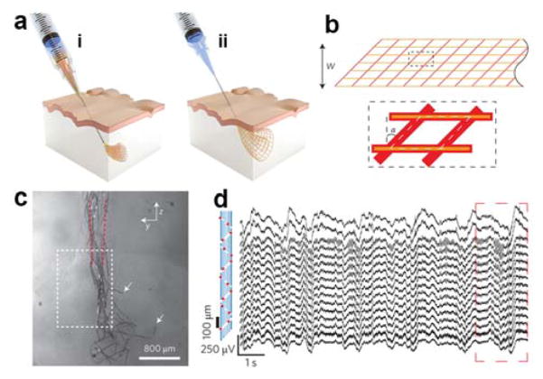 Figure 29