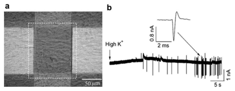 Figure 19