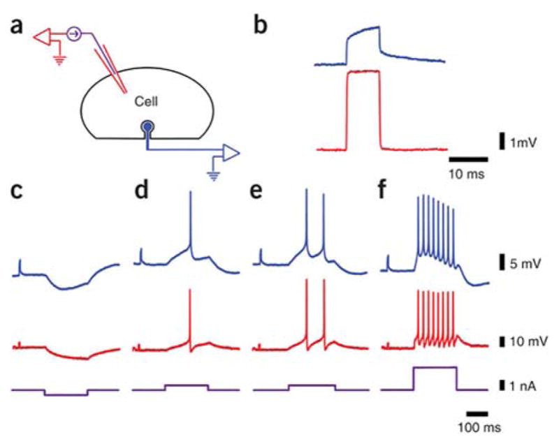 Figure 21