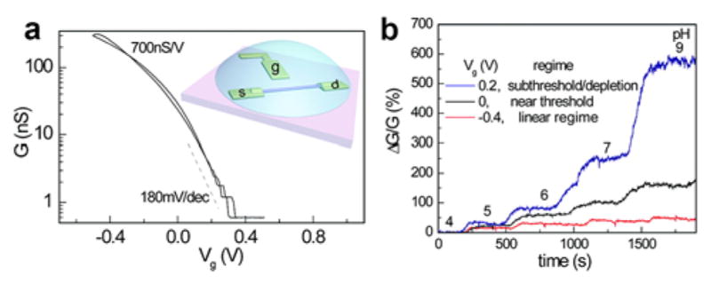 Figure 12