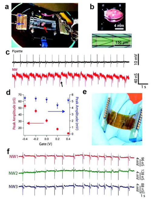 Figure 25