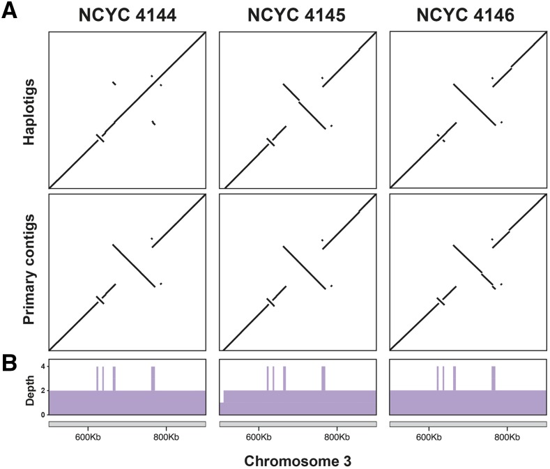 Figure 4