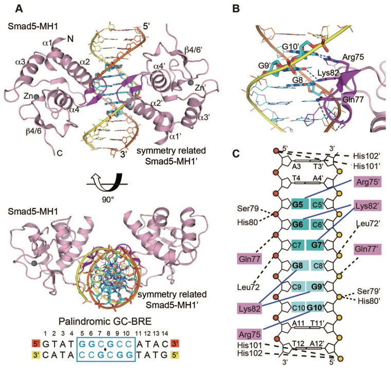 Figure 3.