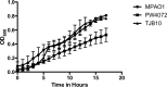 FIG 2