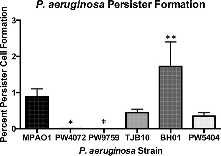 FIG 8 