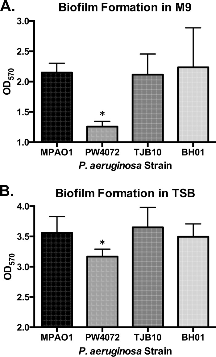 FIG 3 