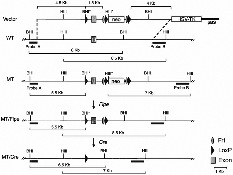 Fig. 8.1.