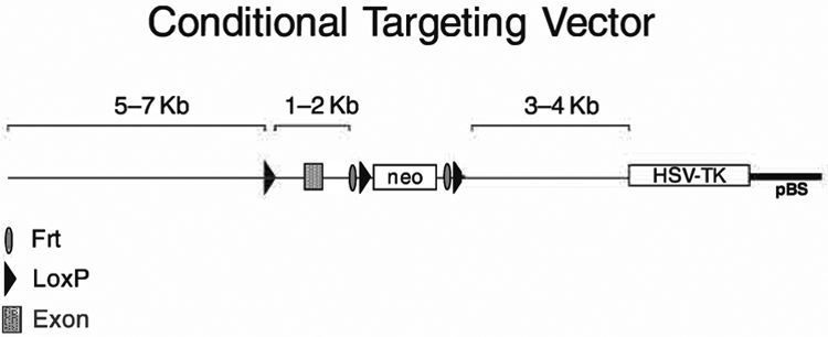 Fig. 8.4.