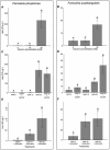 Calcium involvement in P. phosphorea and F. quadrangularis light emissions.