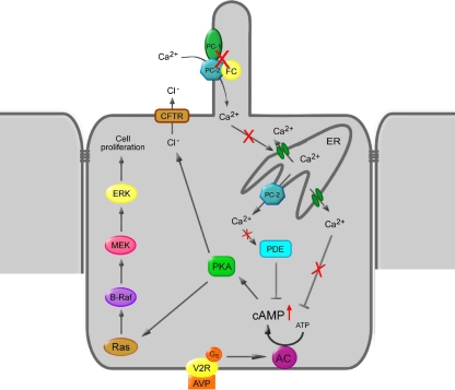 Fig. 3