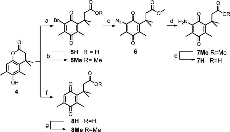 Scheme 2