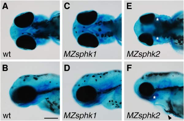 FIGURE 10.