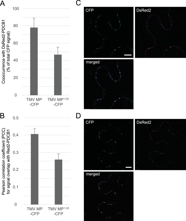 FIG 3 