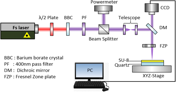 Figure 1