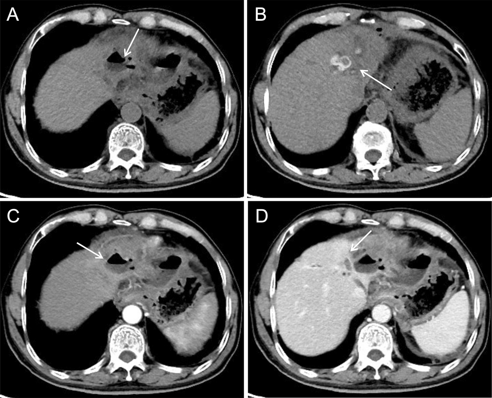 Fig. 9