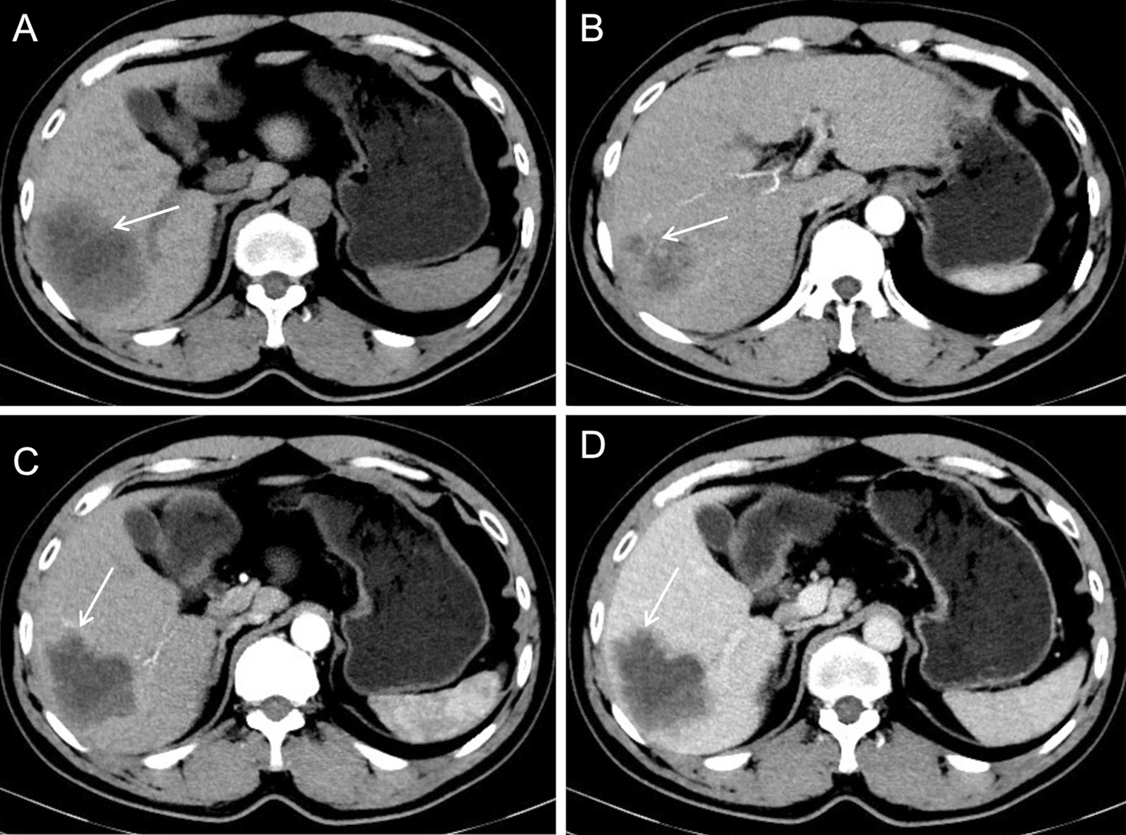 Fig. 5